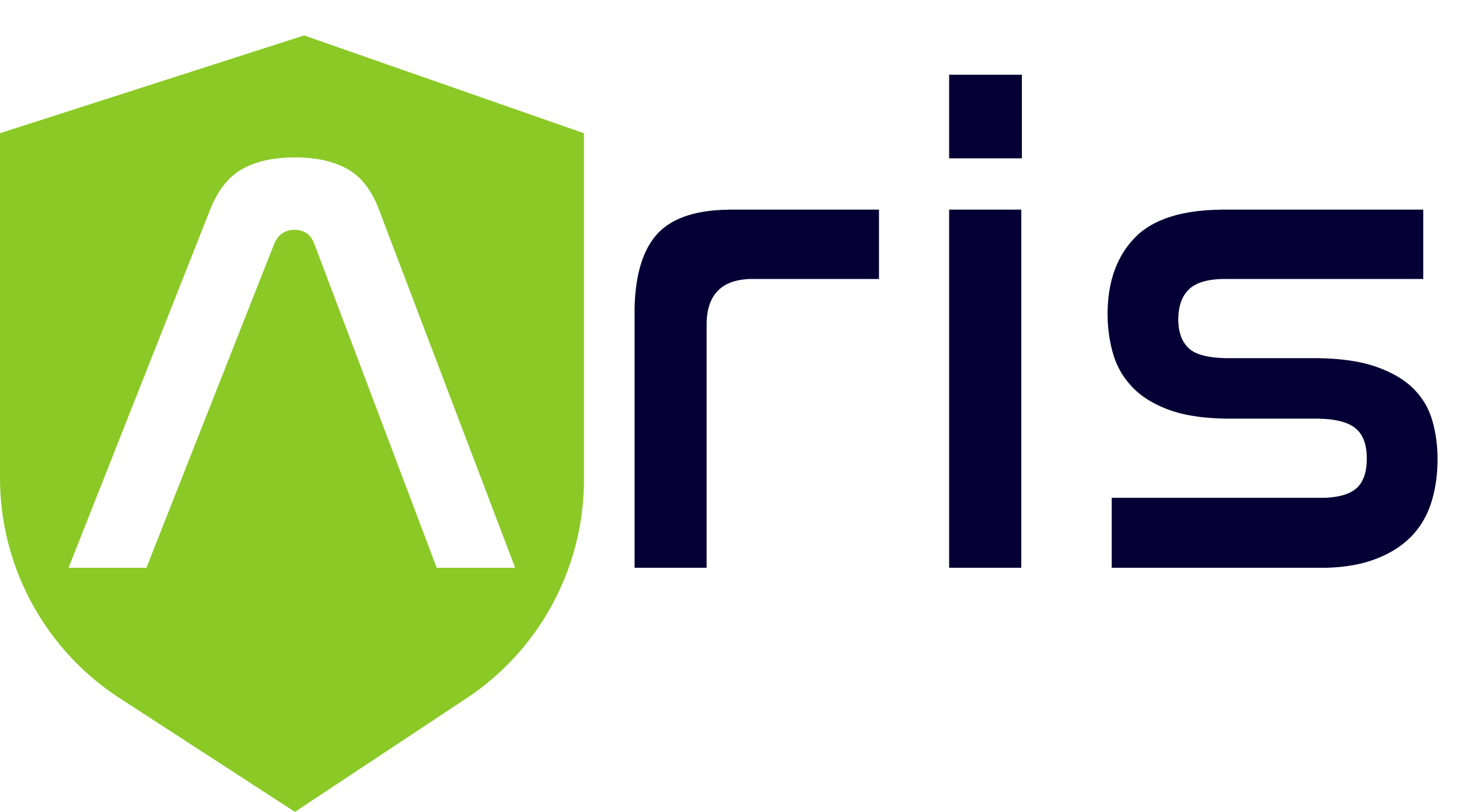 ARIS Seguridad Informática